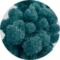 Blue Preserved Moss 100g (bag)