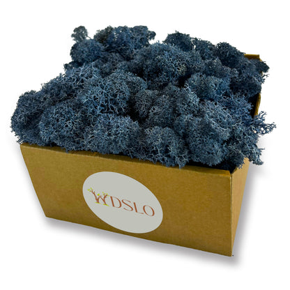 Blue Preserved Moss (box)