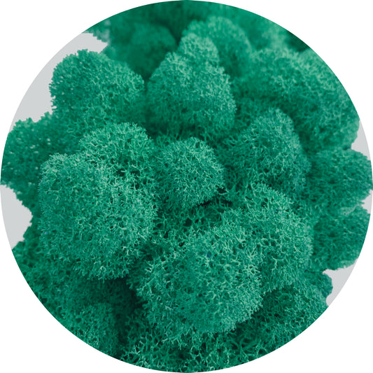 Aquamarine Preserved Moss 100g (bag)