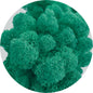 Aquamarine Preserved Moss 100g (bag)