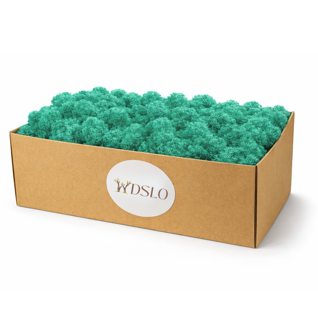 Box of aquamarine decorative moss with WDSLO logo