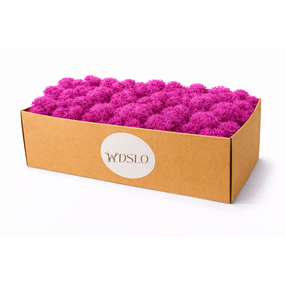 Schachtel mit rosa Moos und WDSLO shop-Ideal für Deko, DIY, Floristik und Moosbilder.