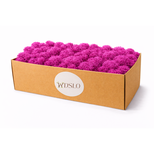 Schachtel mit rosa Moos und WDSLO shop-Ideal für Deko, DIY, Floristik und Moosbilder.