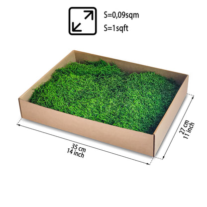 Choose grass-green flat moss from the WDSLO online shop. Ideal for DIY projects, moss walls, and wall art. 🌿 High quality – Attractive prices – Fast shipping