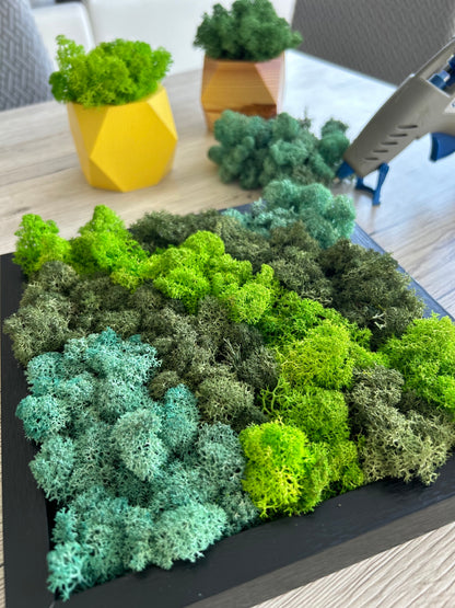 Aquamarine Preserved Moss 100g (bag)