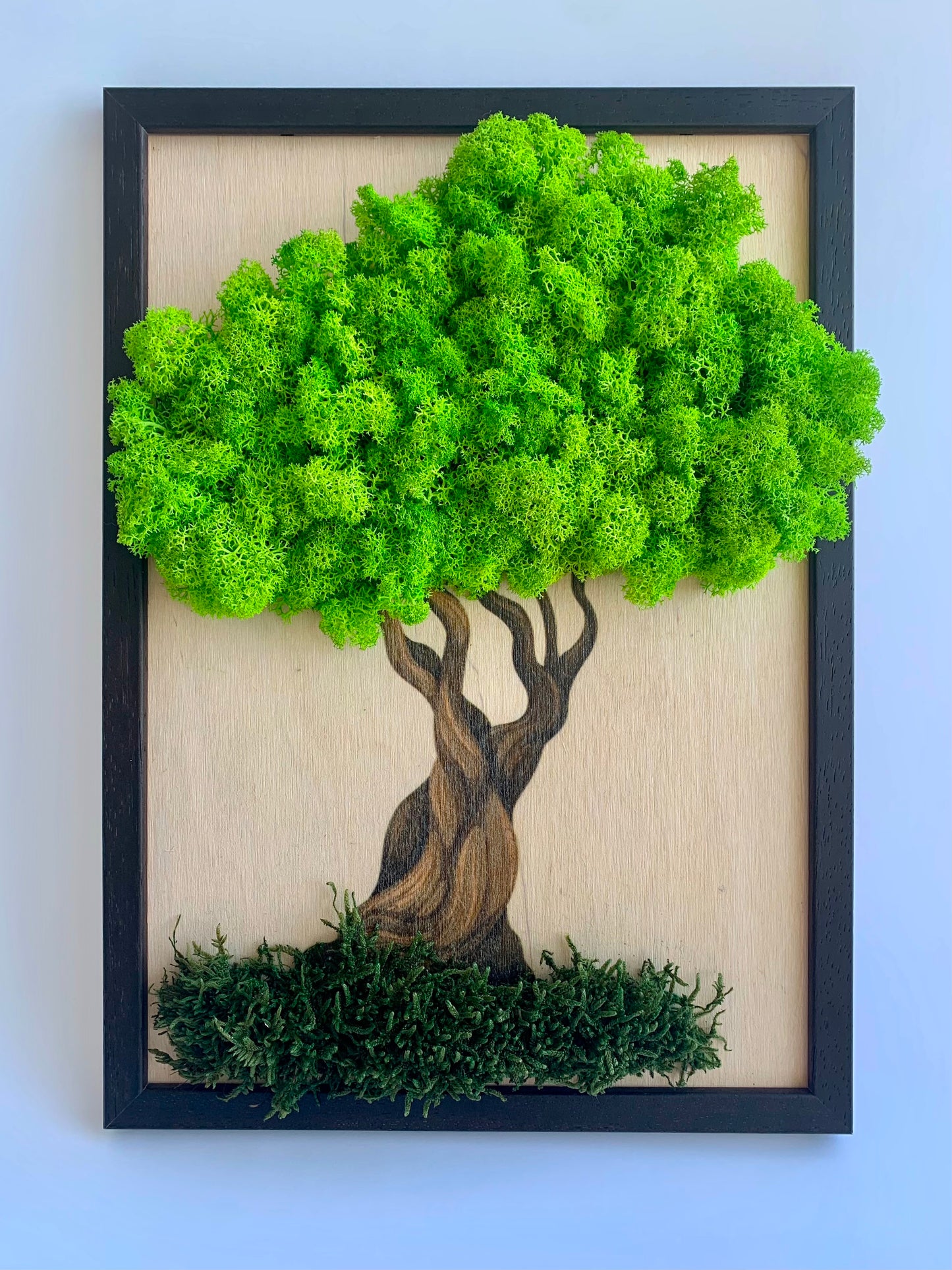 Wall Moss Bonsai Art