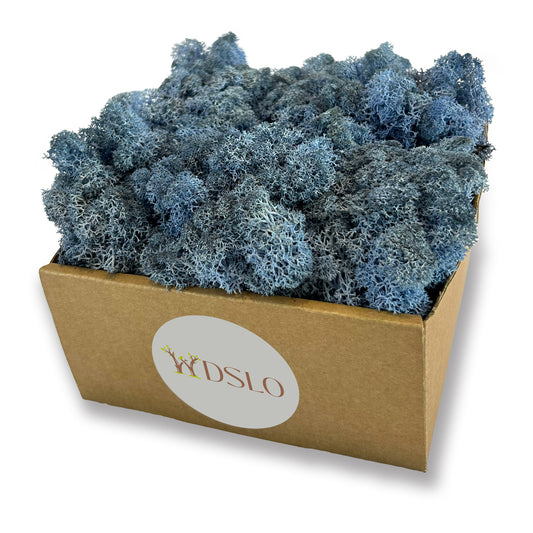 Choose light blue Icelandic moss (320g) from the WDSLO online shop. Ideal for decoration, DIY projects, floristry, and moss pictures. 🌿 WDSLO