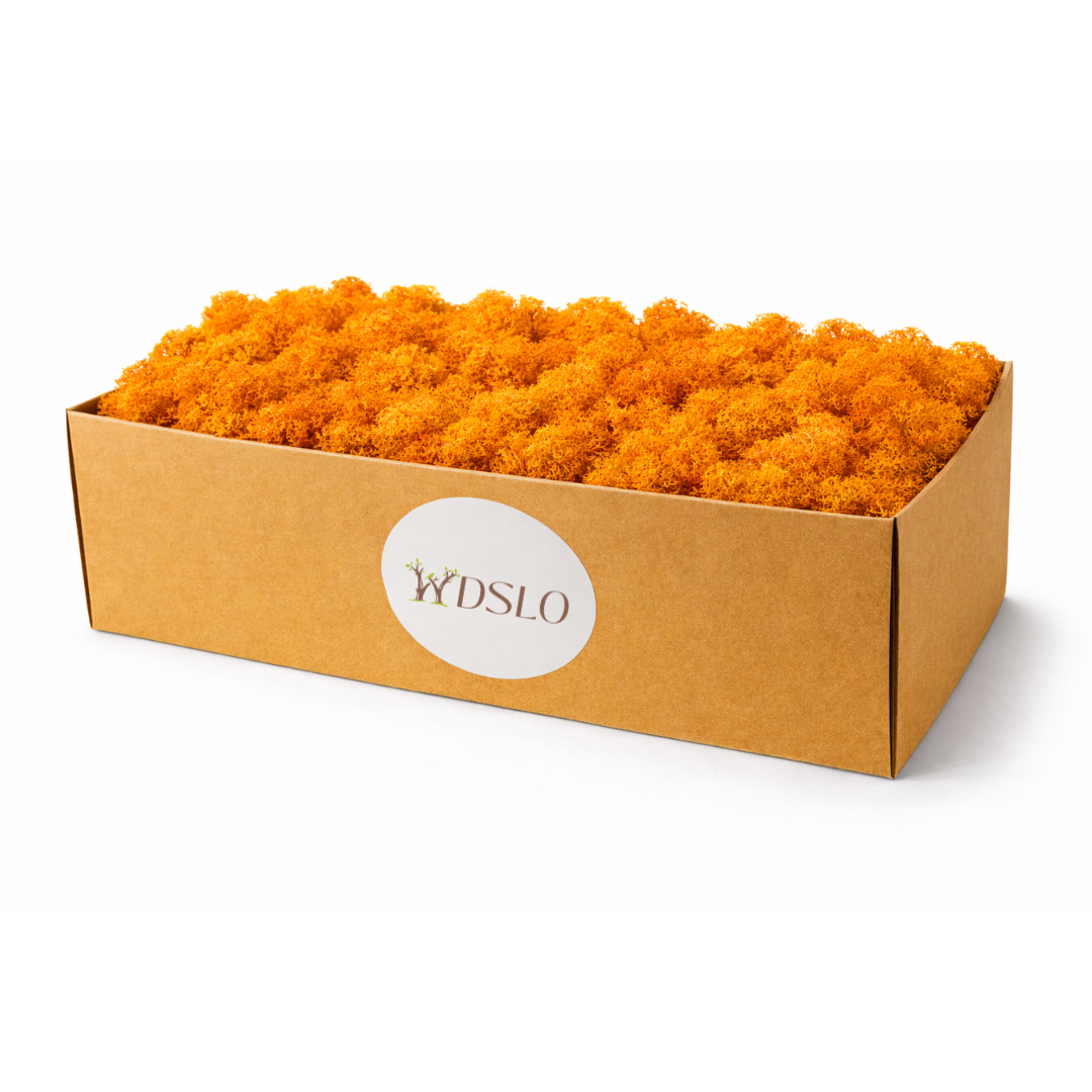 Choose orange Icelandic moss (5 kg) from the WDSLO online shop. Ideal for decoration, DIY projects, floristry, and moss pictures. 🌿 WDSLO