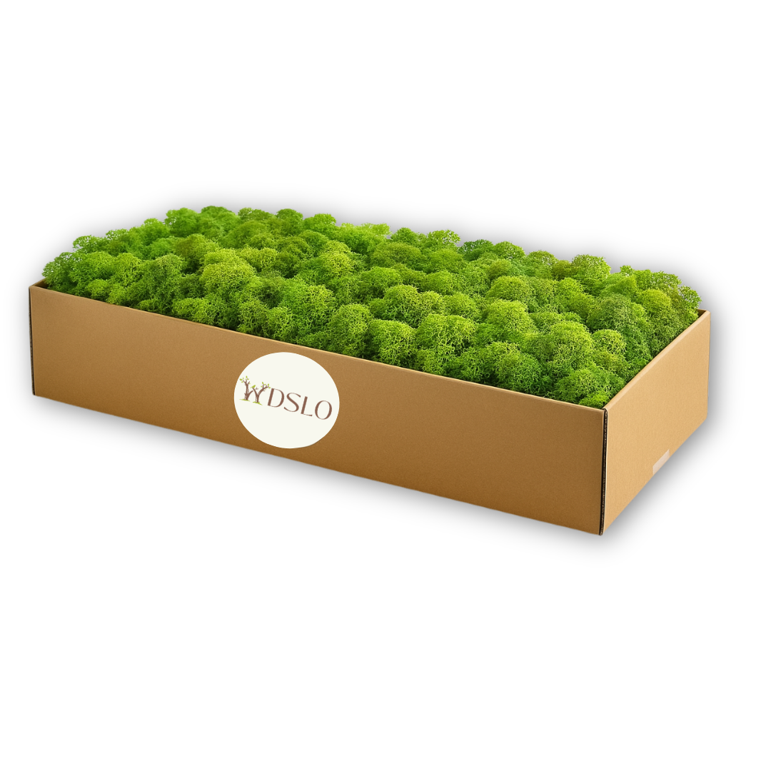 Choose grass green moss (5kg) from the WDSLO online shop. Ideal for decoration, DIY projects, floristry, and moss pictures. 🌿 WDSLO 