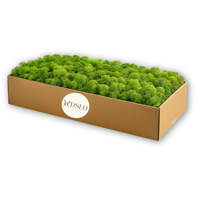 Choose grass green moss (5kg) from the WDSLO online shop. Ideal for decoration, DIY projects, floristry, and moss pictures. 🌿 WDSLO 