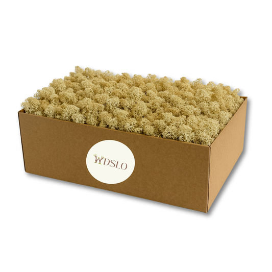 Choose natural white Icelandic moss (5kg) from the WDSLO online shop. Ideal for decoration, DIY projects, floristry, and moss pictures. 