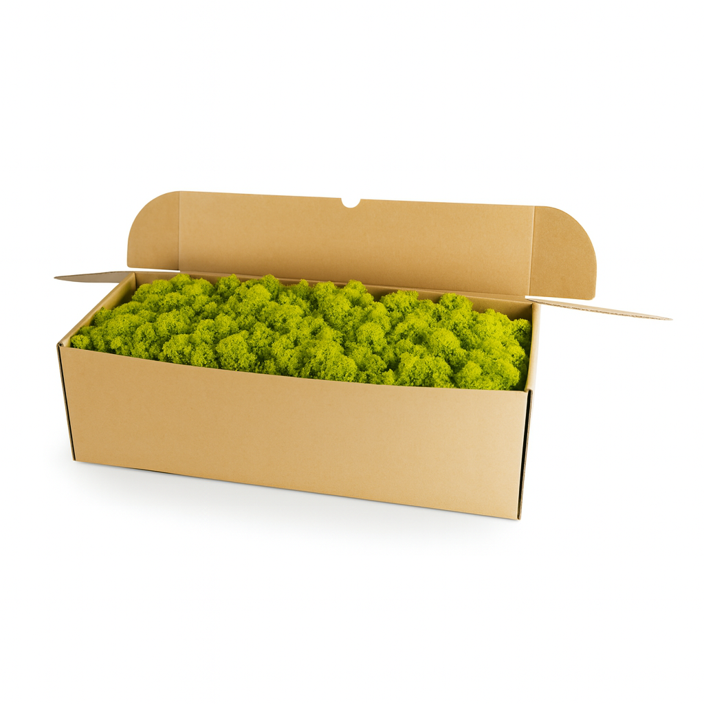 Wähle frühlingsgrünes Islandmoos (1 kg) vom WDSLO Onlineshop. Ideal für Deko, DIY und Moosbilder. 🌿 Hohe Qualitä – Attraktive Preise – Schneller Versand