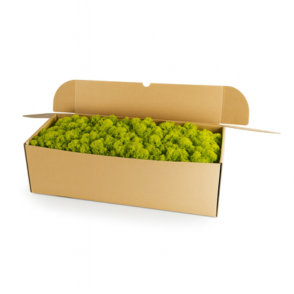Wähle frühlingsgrünes Islandmoos (1 kg) vom WDSLO Onlineshop. Ideal für Deko, DIY und Moosbilder. 🌿 Hohe Qualitä – Attraktive Preise – Schneller Versand