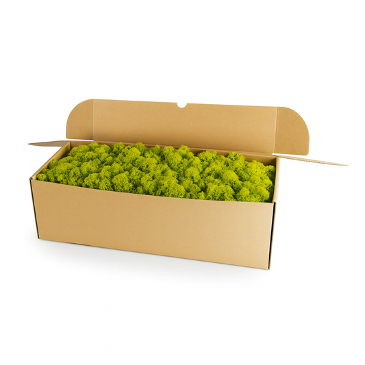 Wähle frühlingsgrünes Islandmoos (1 kg) vom WDSLO Onlineshop. Ideal für Deko, DIY und Moosbilder. 🌿 Hohe Qualitä – Attraktive Preise – Schneller Versand