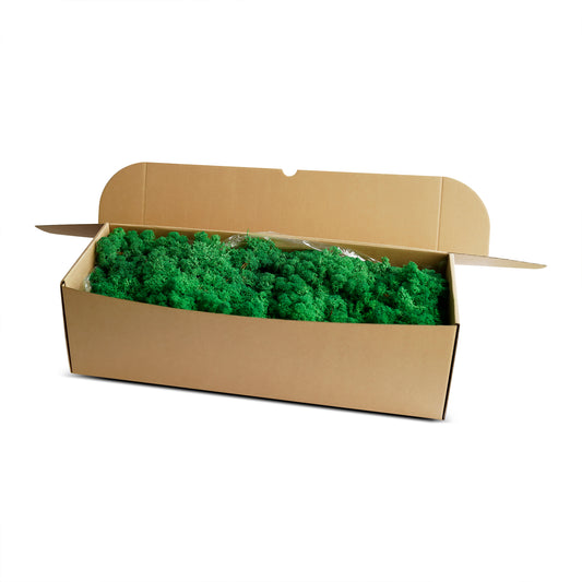 Forest Green Preserved Moss 1kg (box)
