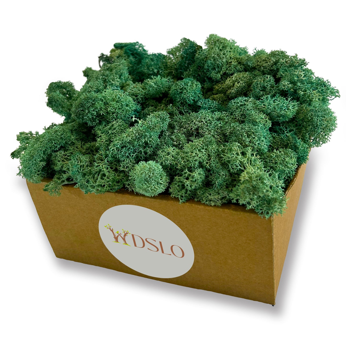 Box of aquamarine moss with 'WDSLO' label on a white background