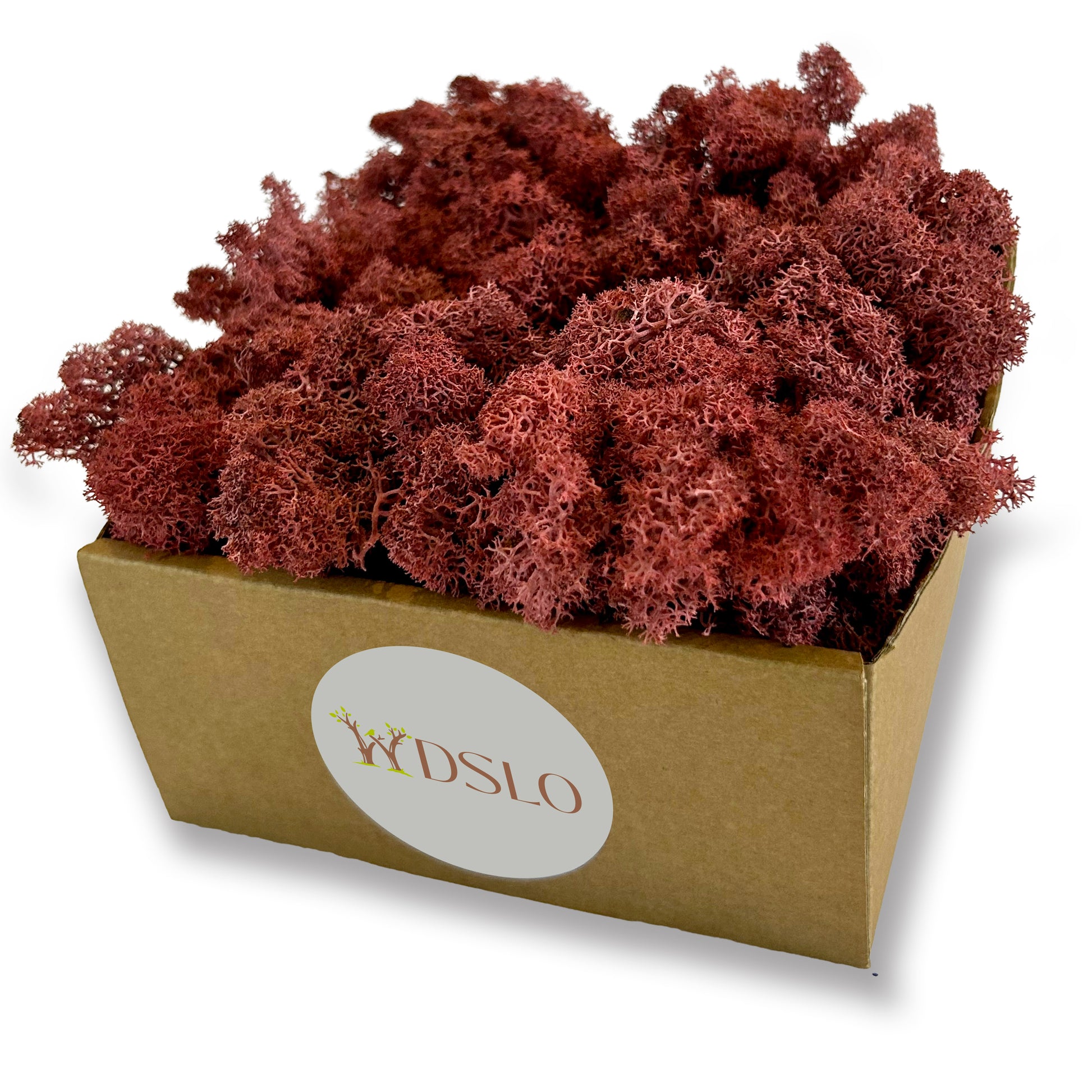 Brown moss 320g in a cardboard box in WDSLO shop for decor art and crafts