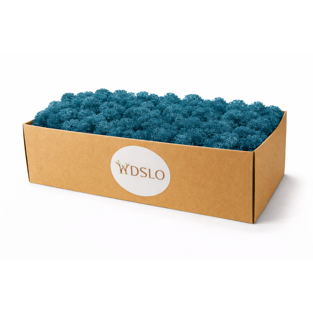 Cardboard box filled with blue moss in WDSLO shop for wall moss projects