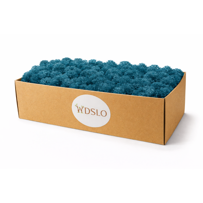 Cardboard box filled with blue moss in WDSLO shop for wall moss projects