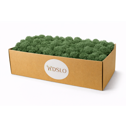 Dark Green Preserved Moss (Box 5kg)