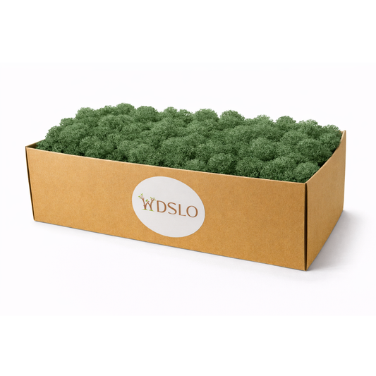 Dark Green Preserved Moss (Box 5kg)