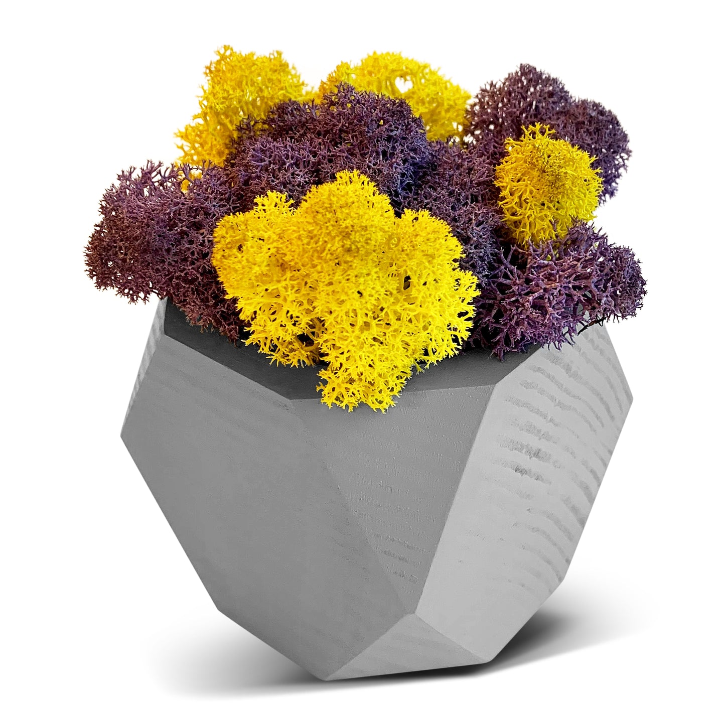 Yellow Preserved Moss 100g (bag)