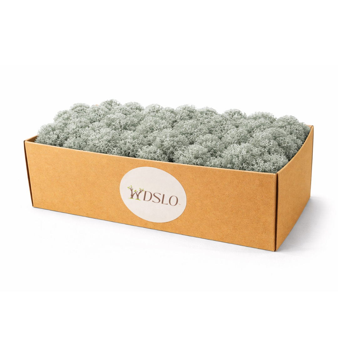 Grey Preserved Moss (Box 5kg)