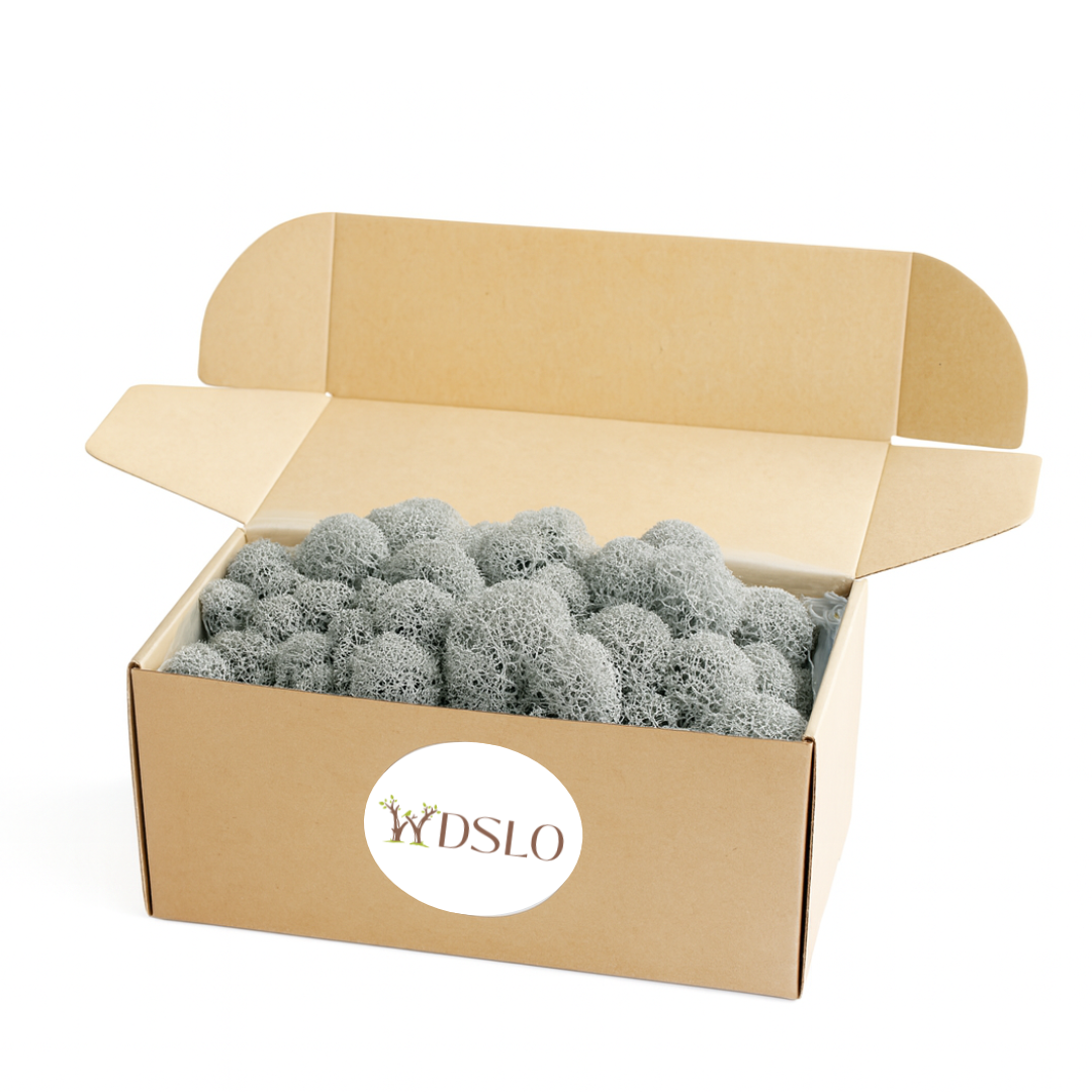 cardboard box filled with gray preserved moss 'WDSLO' for decor, crafts, moss pictures