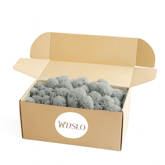 cardboard box filled with gray preserved moss 'WDSLO' for decor, crafts, moss pictures