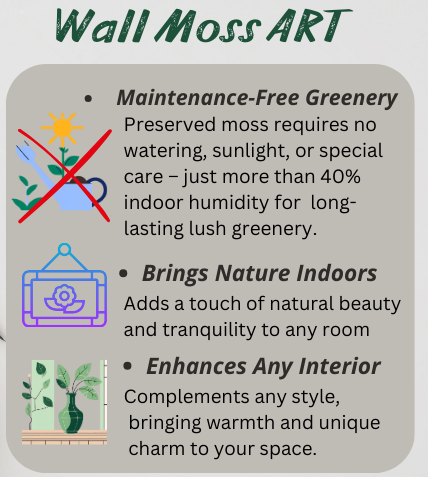 Features of preserved moss, low maintenance, long-lasting decor WDSLO moss