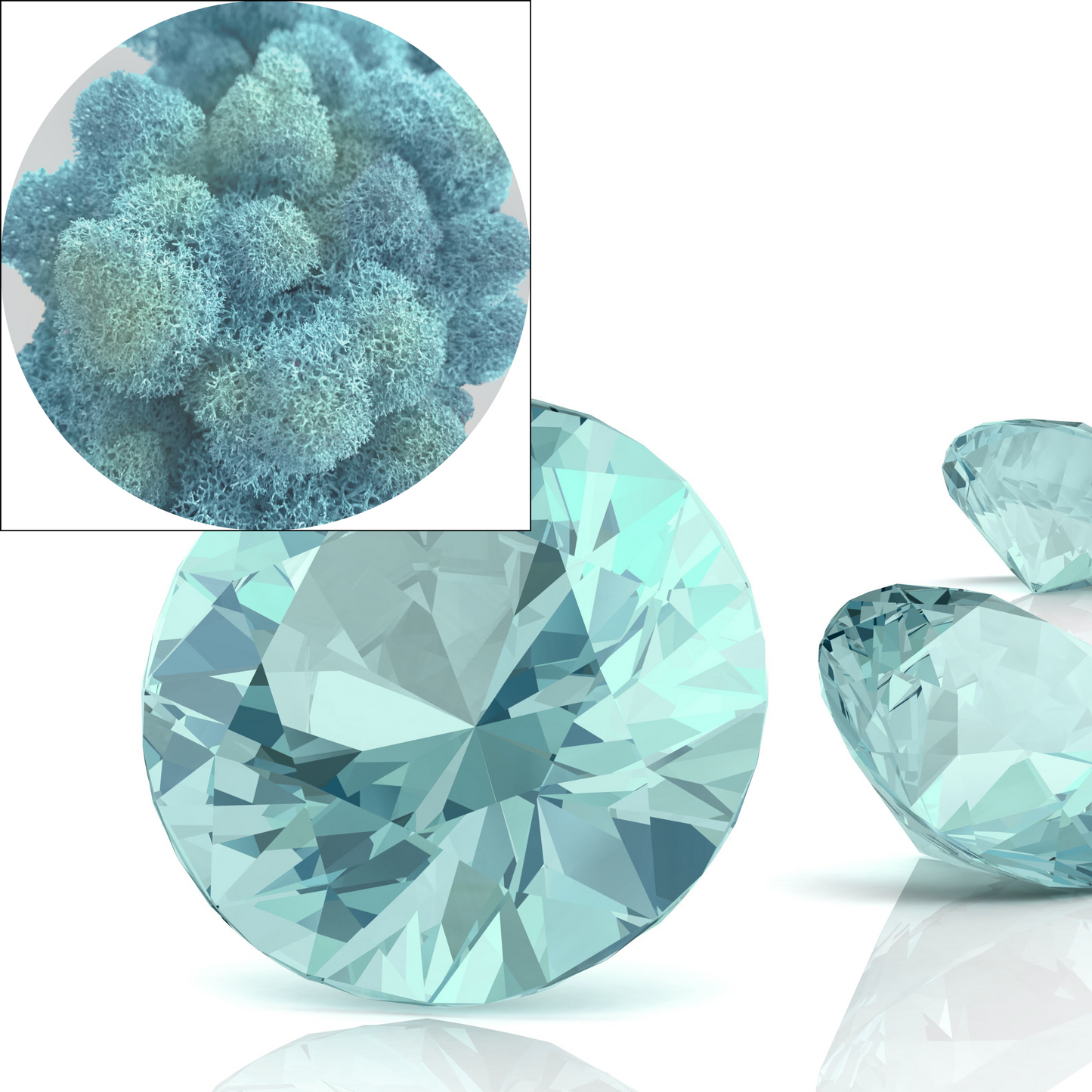 Light Blue Preserved Moss 100g (bag)