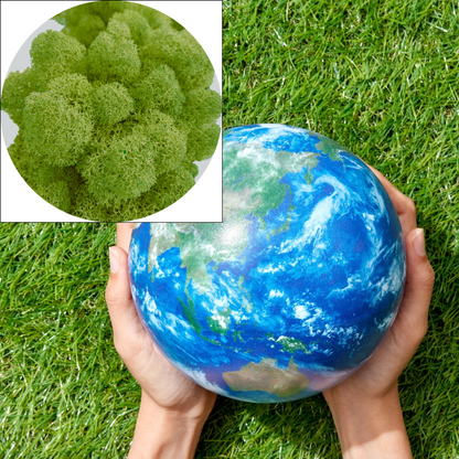 Natural Green Preserved Moss (box)