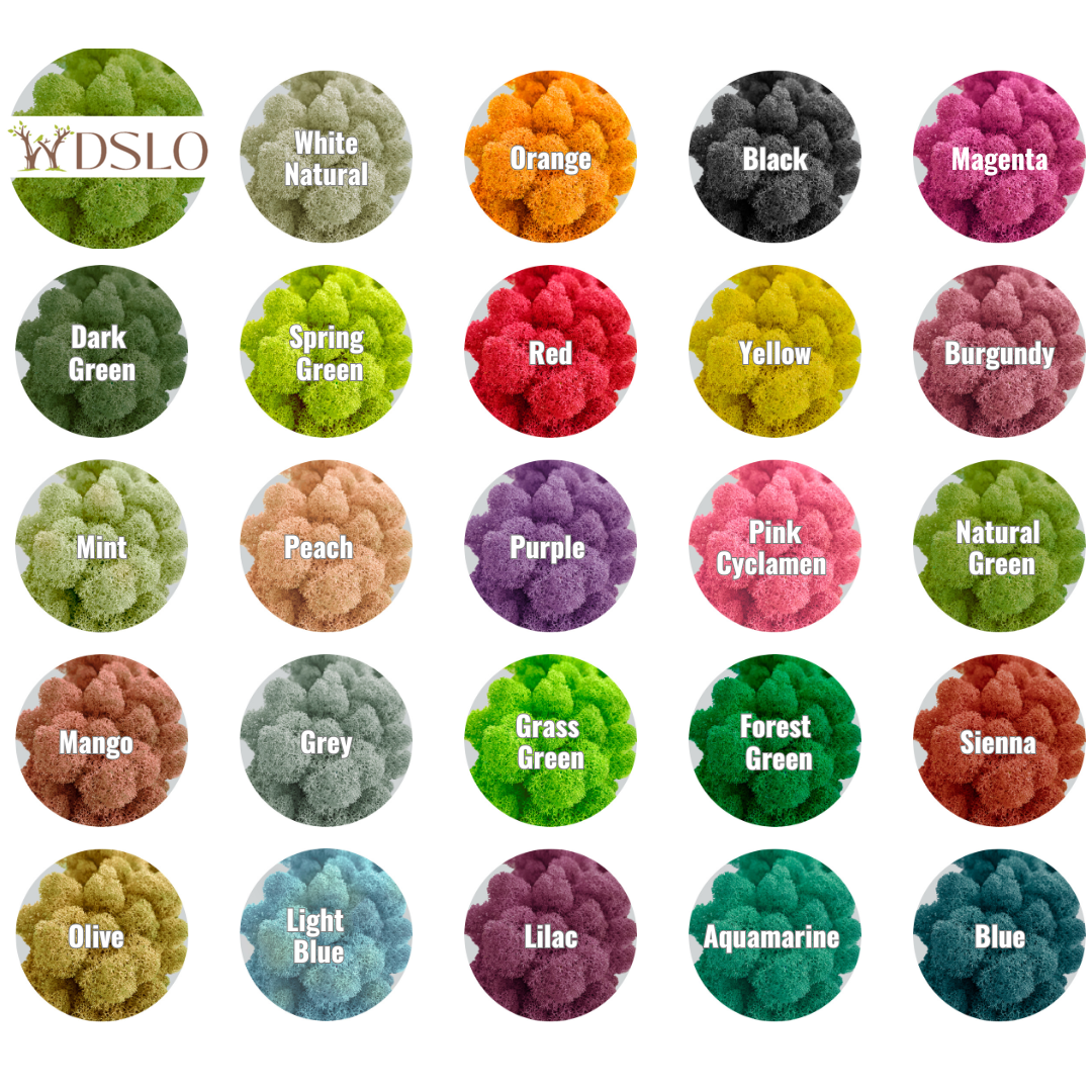 Natural Green Preserved Moss 1kg (box)