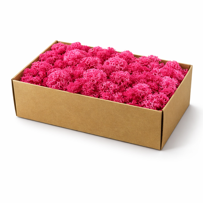 Box filled with pink decorative moss wdslo