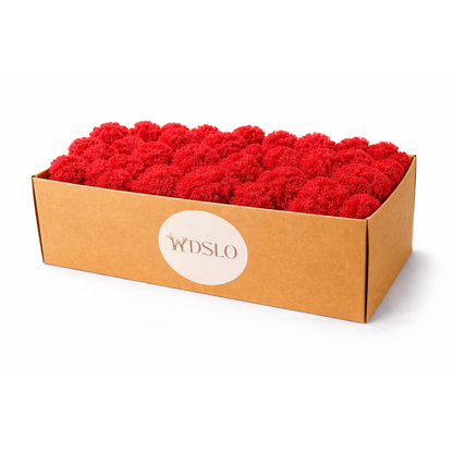 Box of red moss 5 kg 'WDSLO' shop for moss projects, walls, crafts, decor