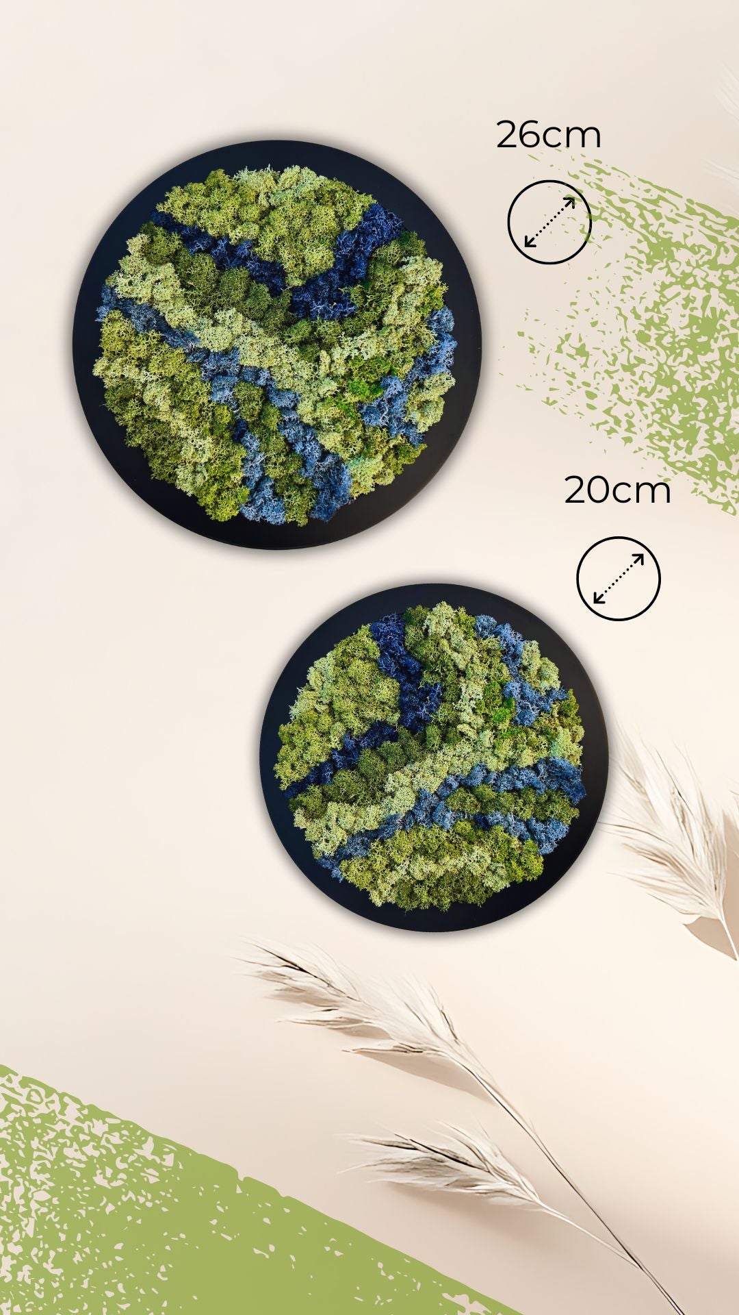 Two round green and blue moss decor.