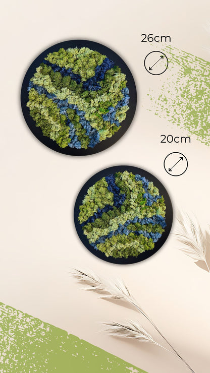 Two round green and blue moss decor.