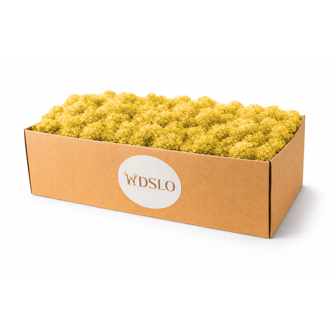 Box of yellow preserved 
moss with WDSLO logo 