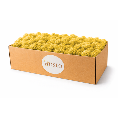 Box of yellow preserved 
moss with WDSLO logo 